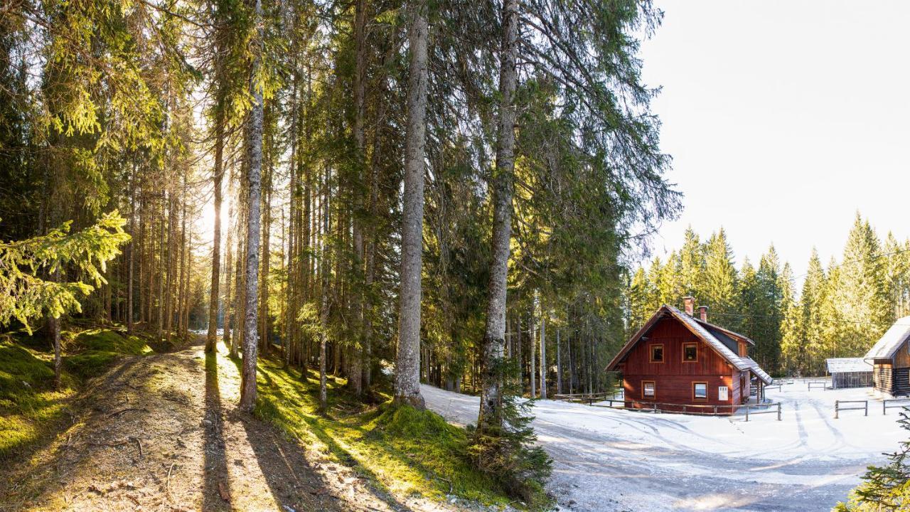 Digital Detox Chalet Pokljuka Goreljek Exteriör bild