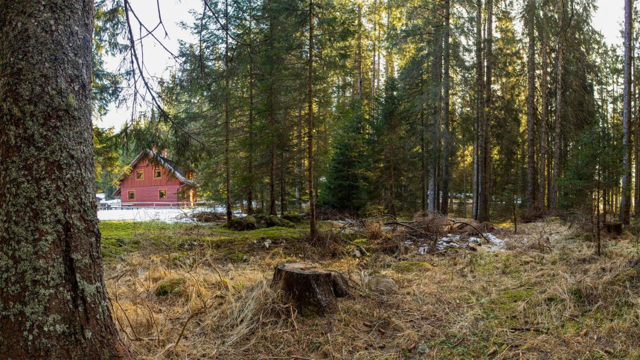 Digital Detox Chalet Pokljuka Goreljek Exteriör bild