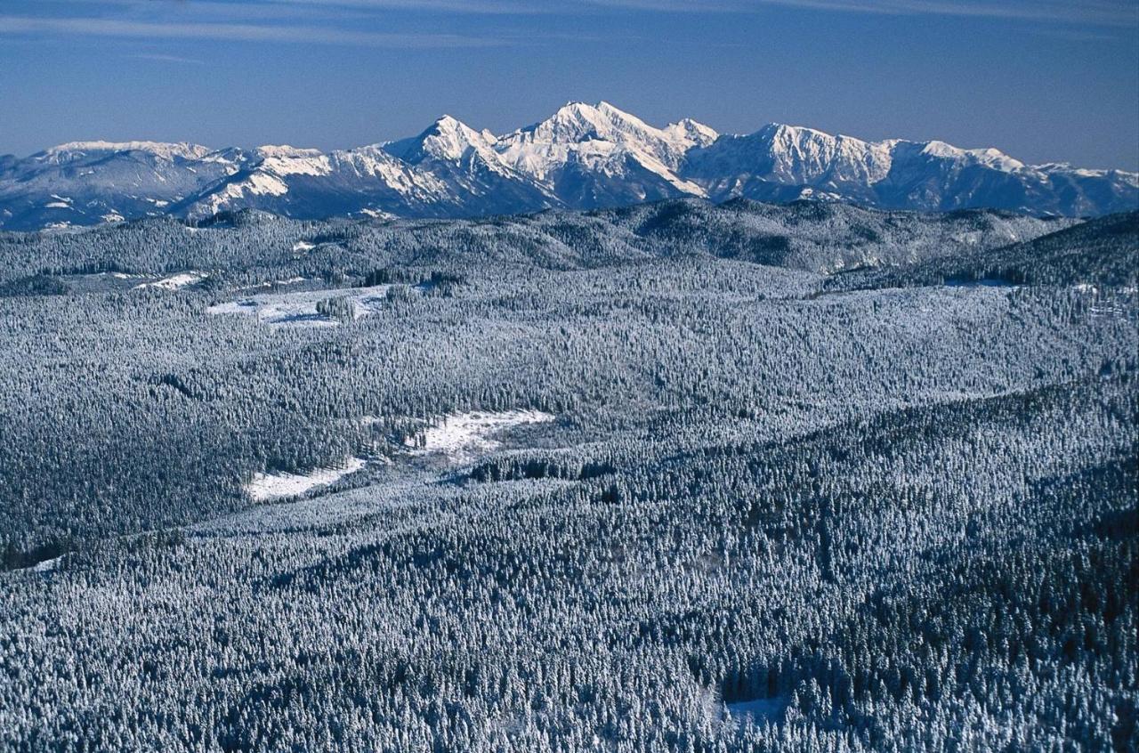 Digital Detox Chalet Pokljuka Goreljek Exteriör bild